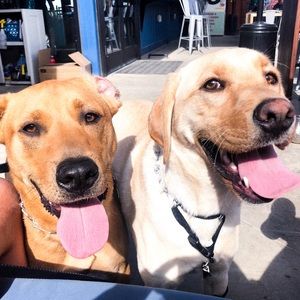 Meet your Posher, Cate